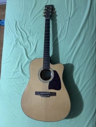 Ibanez AW30ECE