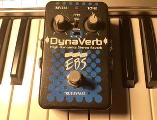 EBS DynaVerb