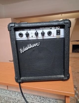 Washburn G-10