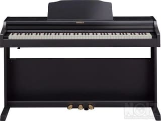 Roland RP501R