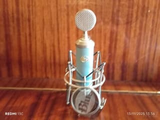 Blue Bluebird mic