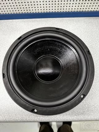 LW 10'' woofer