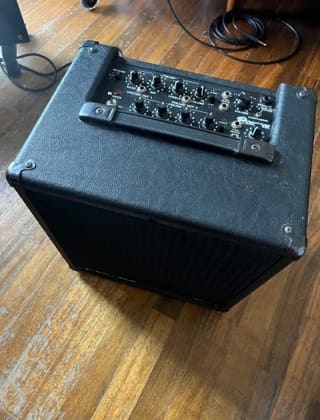 Polytone Mini Brute Plus Two 
