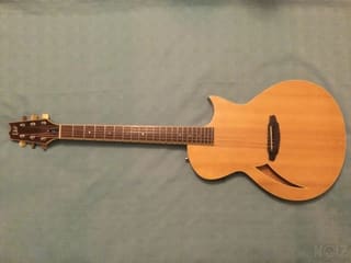 ESP LTD TL-6N