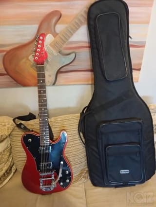 Schecter diamond series  bigsby