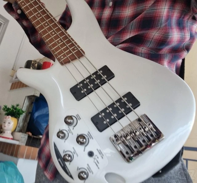 Ibanez SR-300E