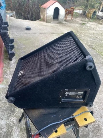 Stage Monitor Audio Centron CM-12H