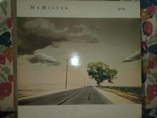 Mr. Mister: Go On
