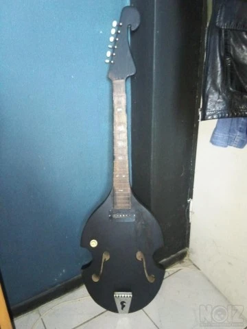 Vintage hollowbody guitar