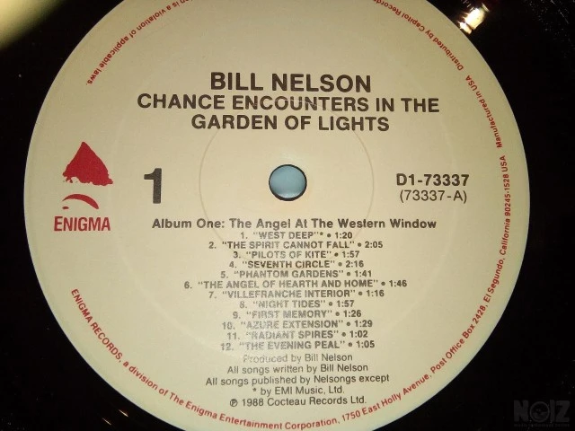 Biill Nelson: Chance Encounters