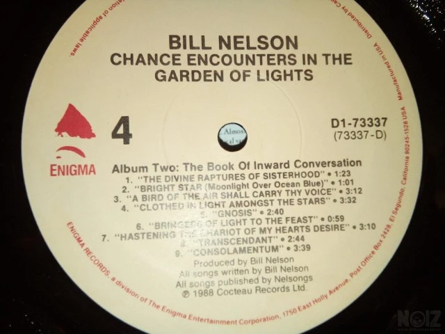 Biill Nelson: Chance Encounters