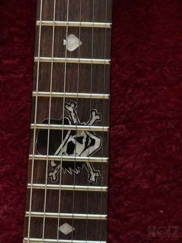 Schecter Diamond Series Pete Dee Addicts