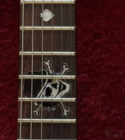 Schecter Diamond Series Pete Dee Addicts
