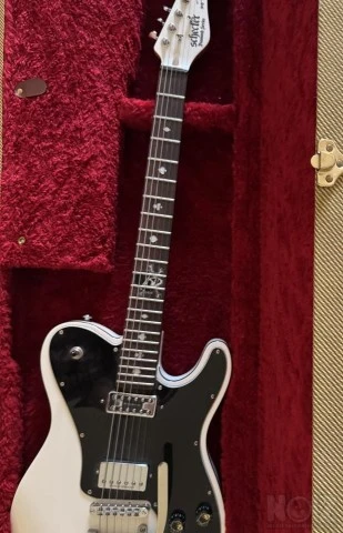 Schecter Diamond Series Pete Dee Addicts