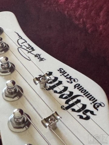 Schecter Diamond Series Pete Dee Addicts
