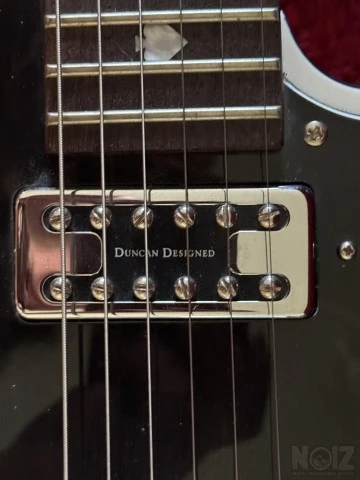 Schecter Diamond Series Pete Dee Addicts