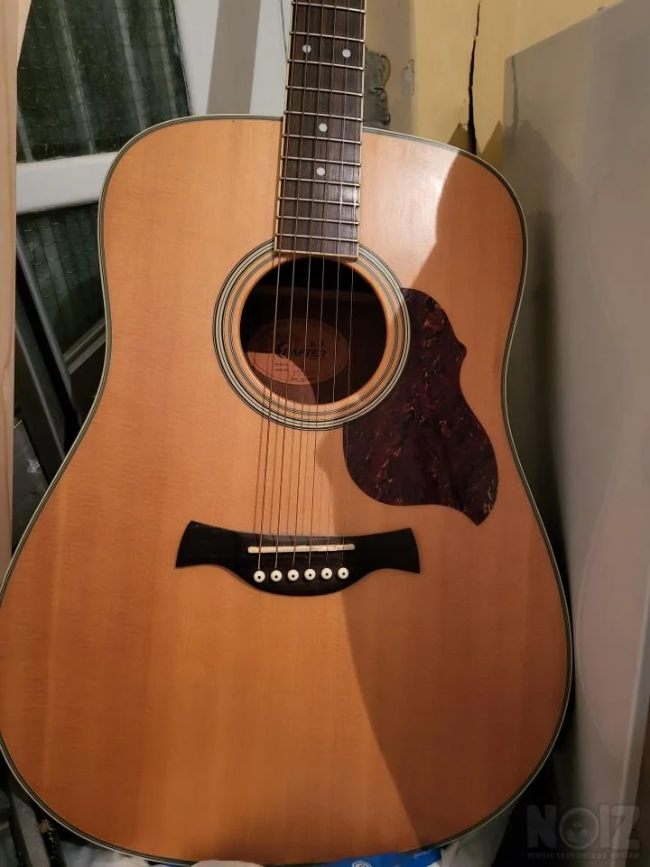 Ακουστική Crafter d6/n