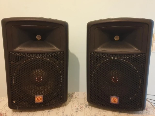 Gemini max-10