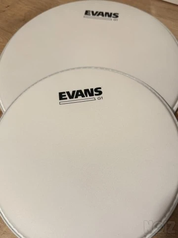 Evan’s Coated-G1 10-12