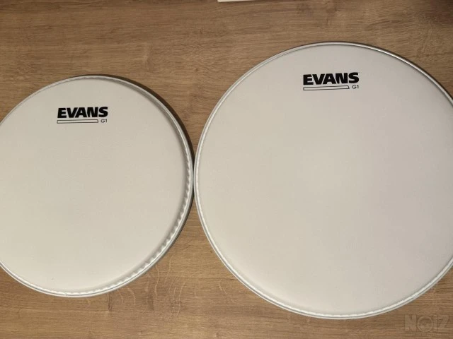 Evan’s Coated-G1 10-12