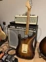 Stratocaster Partcaster
