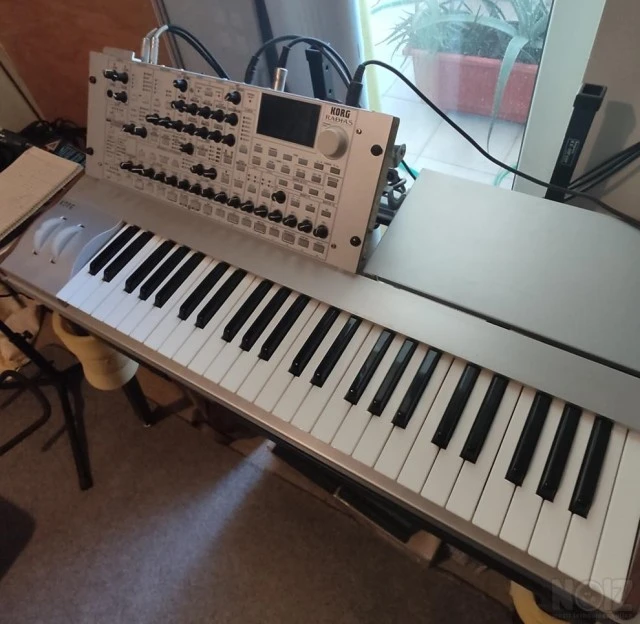 Korg Radias