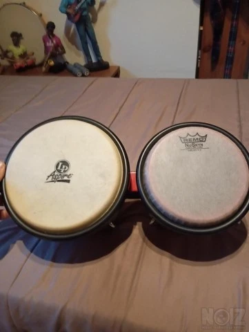 LP Aspire Fiberglass