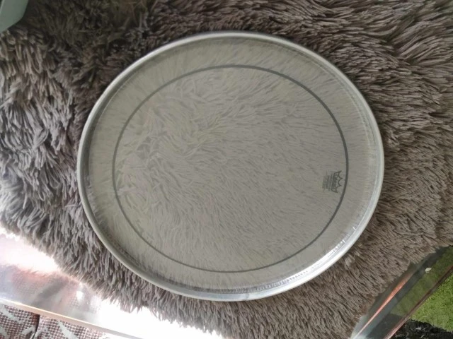 Remo 14" Pinstripe clear
