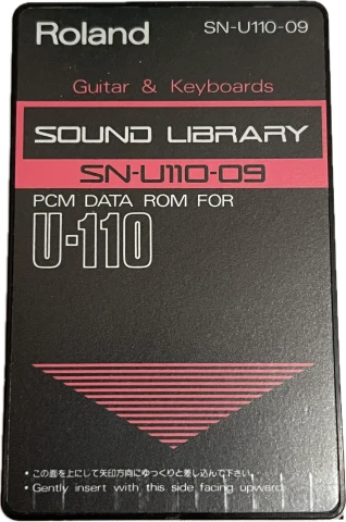 Κάρτες Roland SN-U110