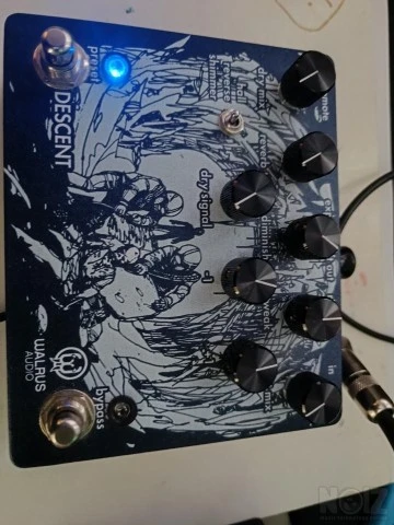 Walrus audio descent