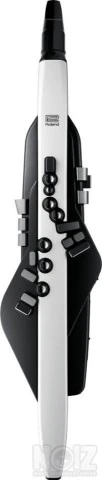 Ζητάω Aerophone Roland AE-20