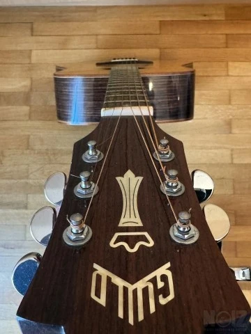 Guild GAD-50