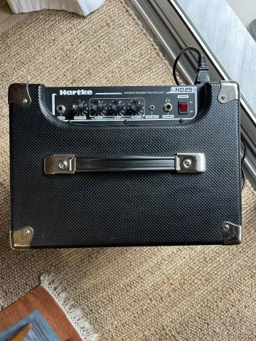 Hartke HD25