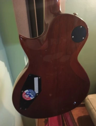 ΑΝΤΑΛΛΑΓΗ esp ltd ec 1000 fm asb amber s