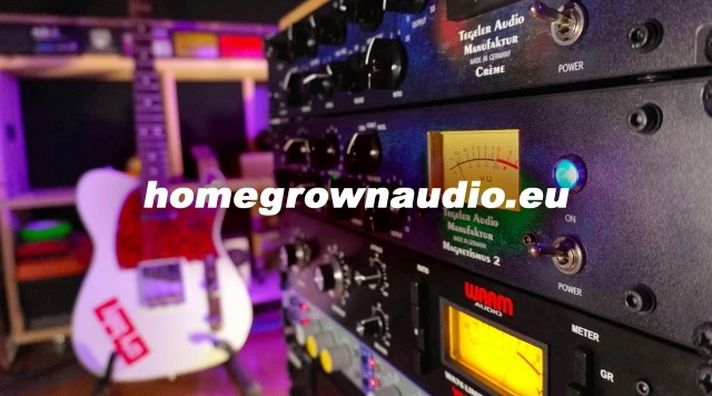 Recording / Mixing / Mastering