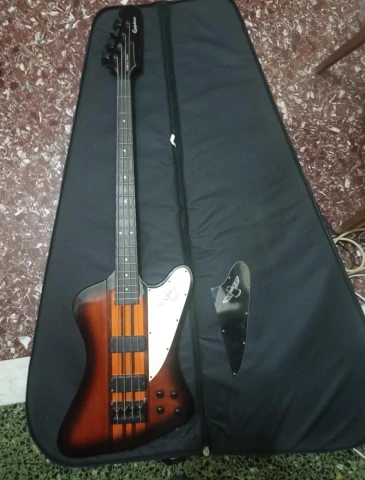 Epiphone Tunderbird Pro Active