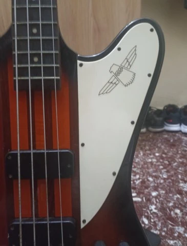 Epiphone Tunderbird Pro Active