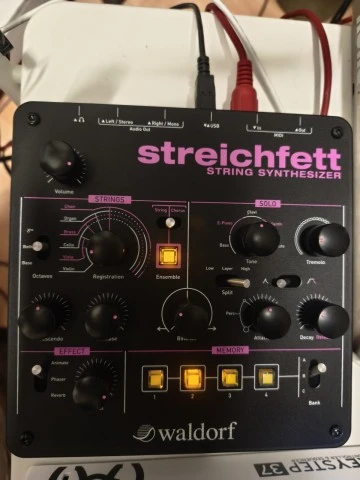 Waldorf Streichfett String