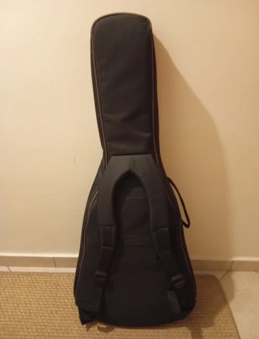 PRS Angelus A20 SE