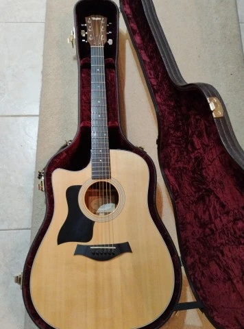 Taylor 310ce