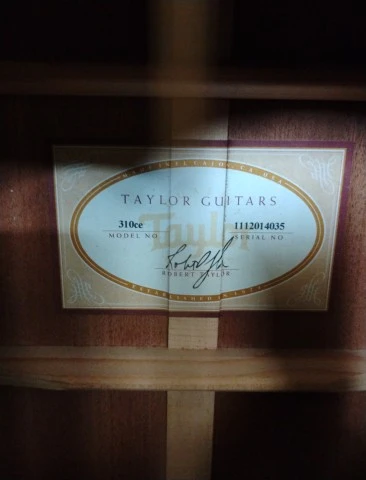 Taylor 310ce