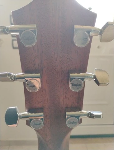 Taylor 310ce