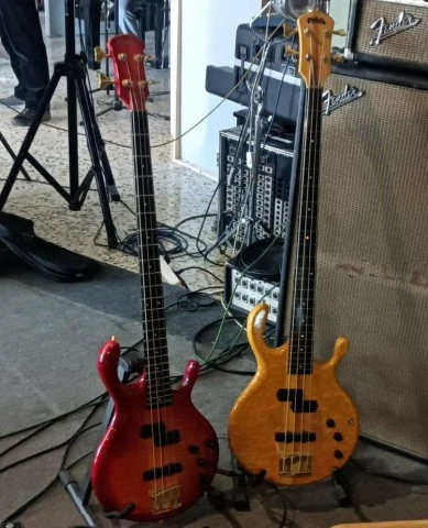 Pedulla MVP 4, AAA maple, 100% Handmade 