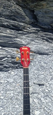 Pedulla MVP 4, AAA maple, 100% Handmade 