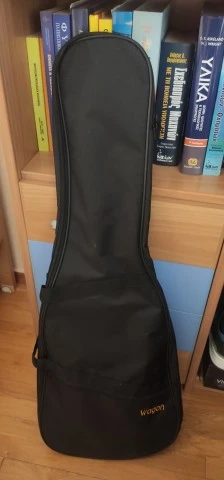 Hand painted chinese partscaster with fe