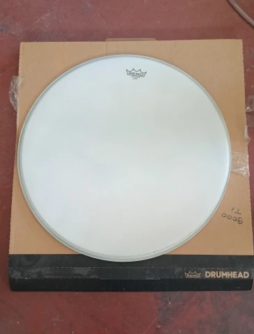 Remo Ambassador Coated 24