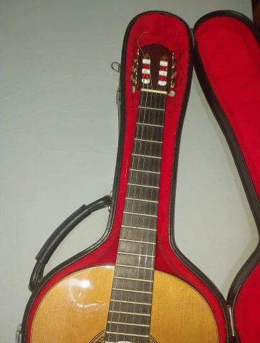 Vicente Sanchis Luthier