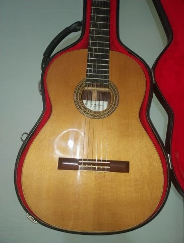 Vicente Sanchis Luthier
