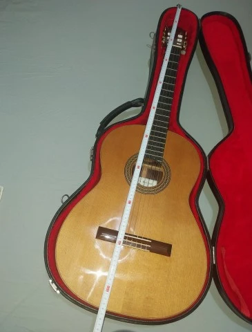 Vicente Sanchis Luthier