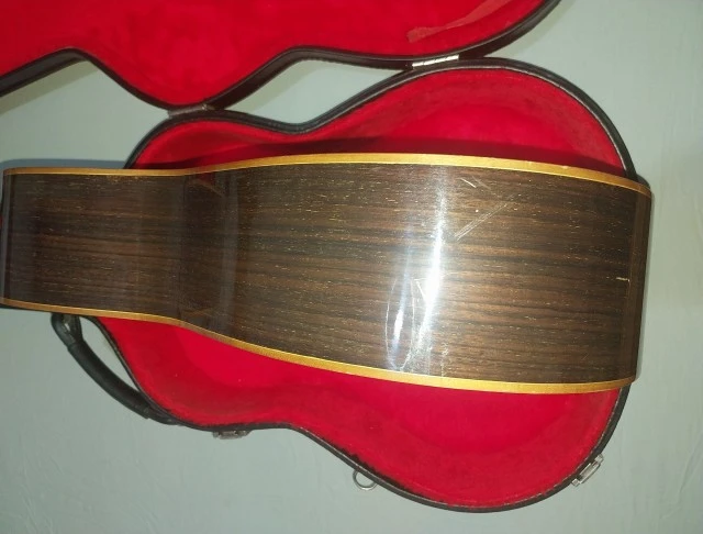 Vicente Sanchis Luthier